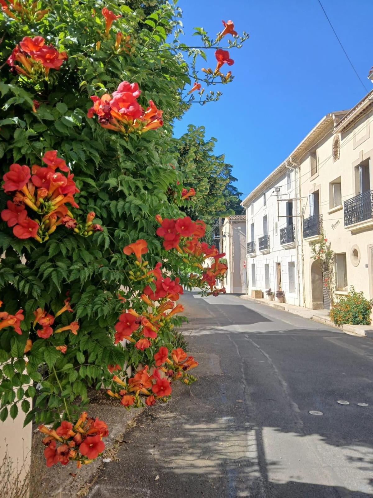L'Oostaloo Logement De Vacances Usclas-l'Herault Екстер'єр фото